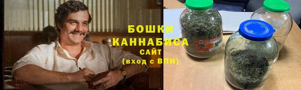 гидра Богданович