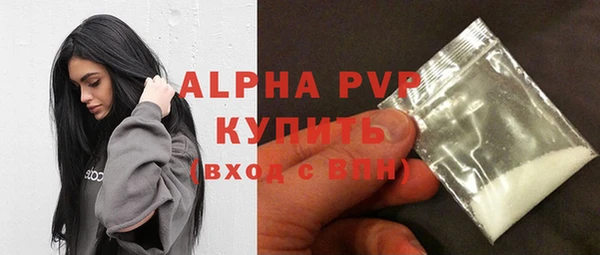 гидра Богданович