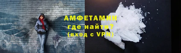 гидра Богданович