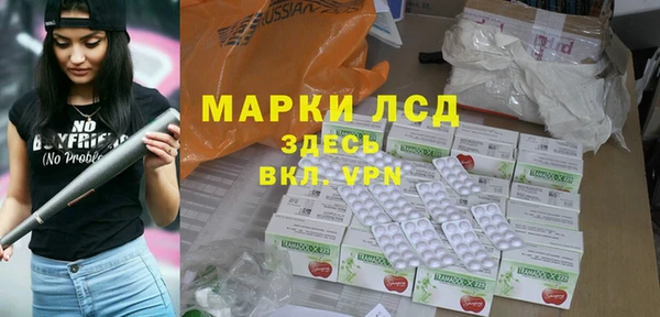гидра Богданович