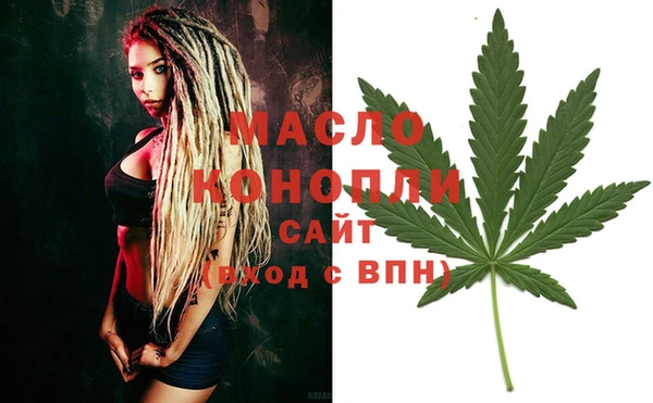 гидра Богданович